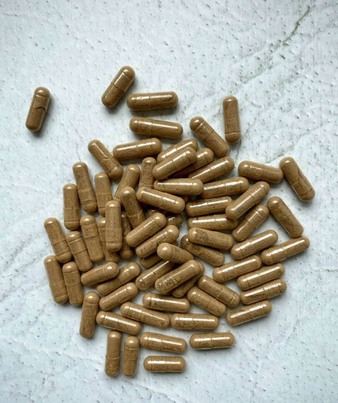 Chaga Mushroom Capsules