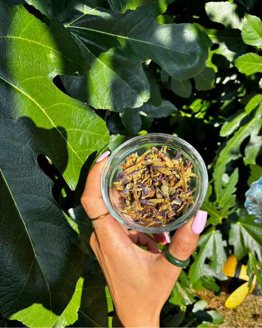 Butterfly Pea Capsules