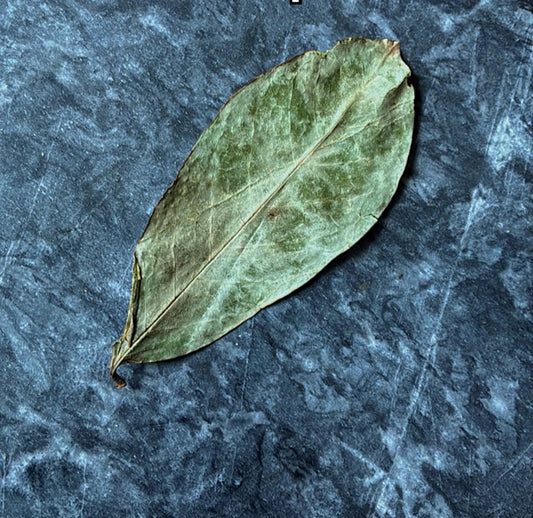 Soursop Tea w/ natural tea bag