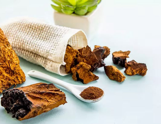 Chaga Mushroom Capsules
