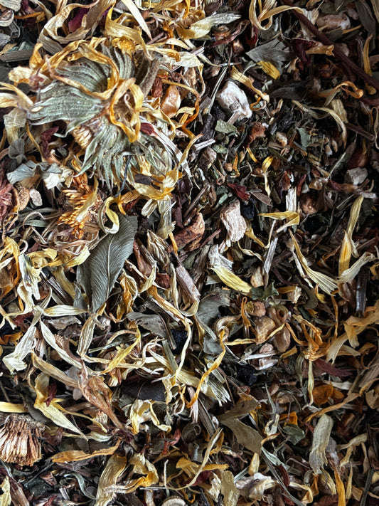 HotCoco Dragon Children’s Blend