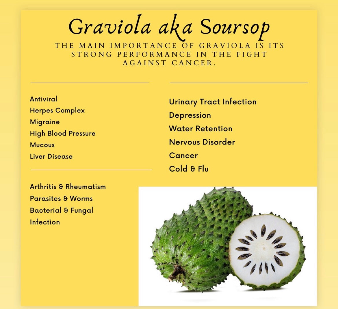 Raw Soursop Leaf (for tea)