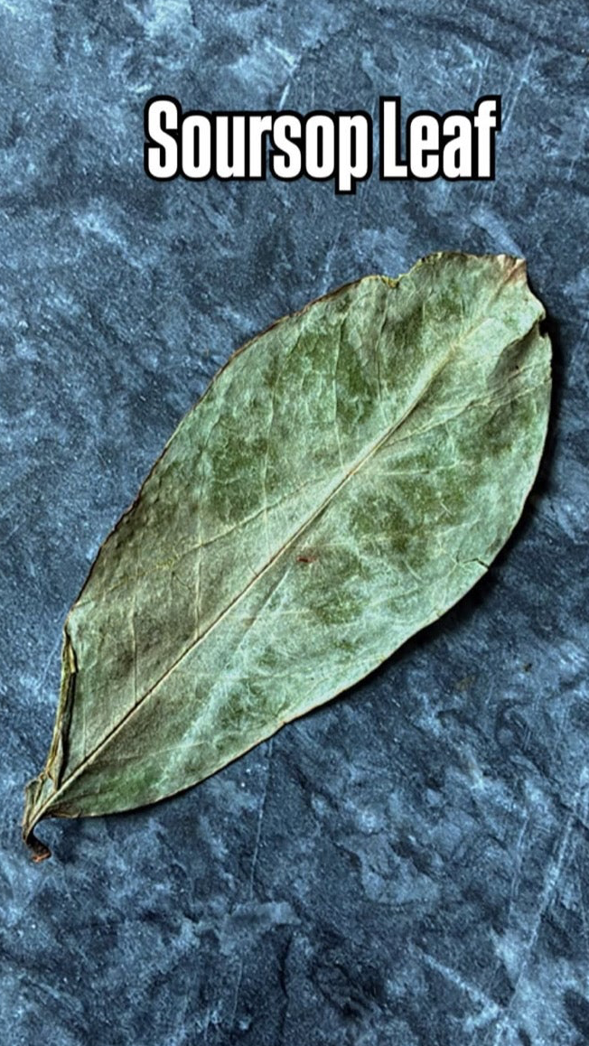 Raw Soursop Leaf (for tea)