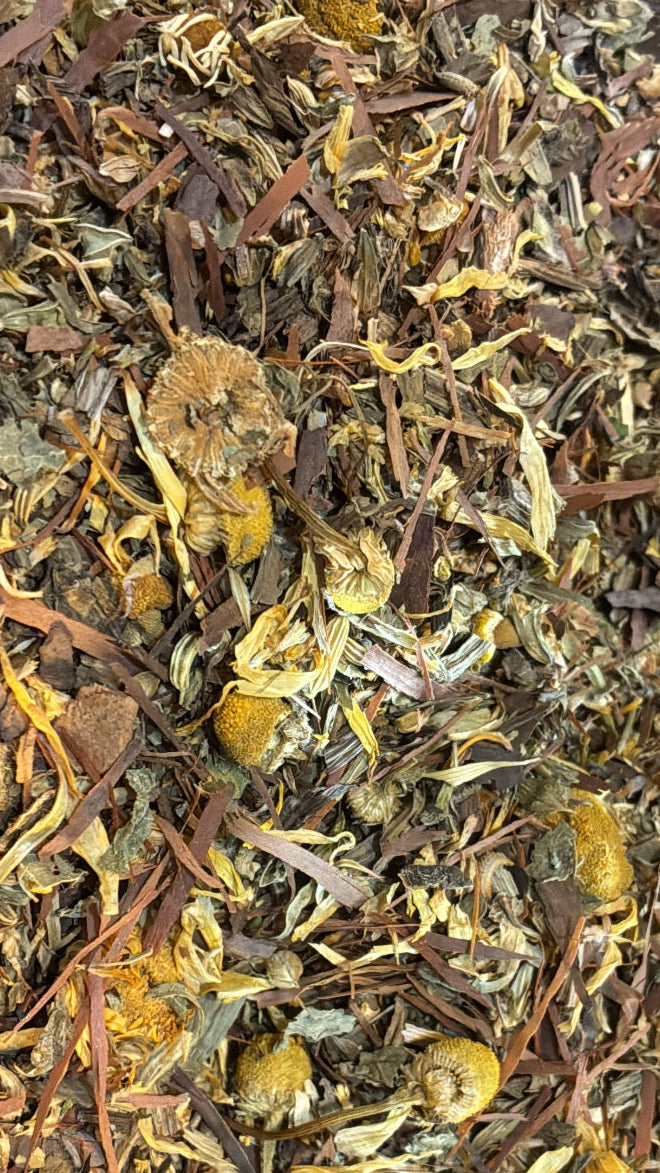 Anti-Fungal & Gut Microbiome Rebuild Tea