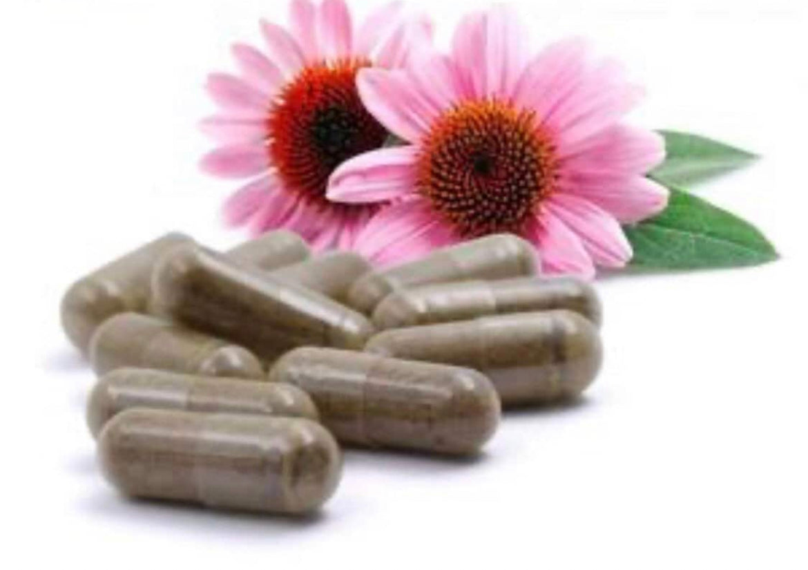 Echinacea Capsules