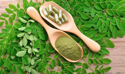 Moringa Capsules