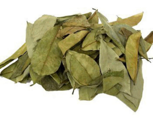 Raw Soursop Leaf